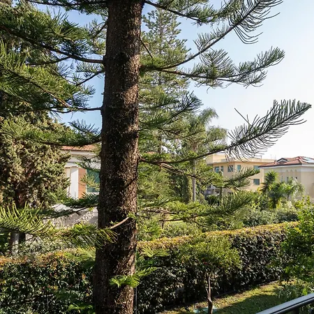 Windsor Mare - In The Heart Of - Apartment Bordighera